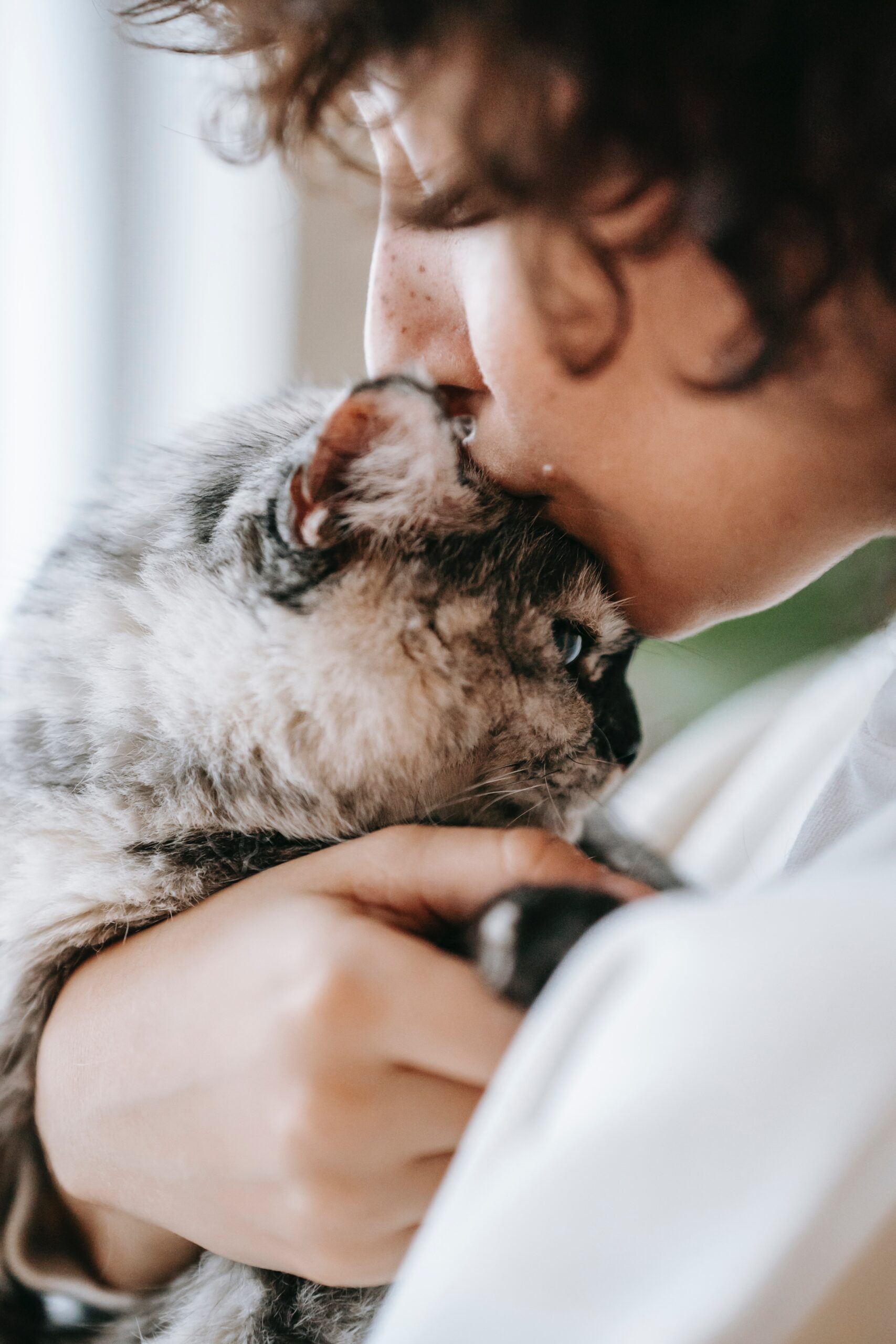 how do you deal with the trauma of losing a pet